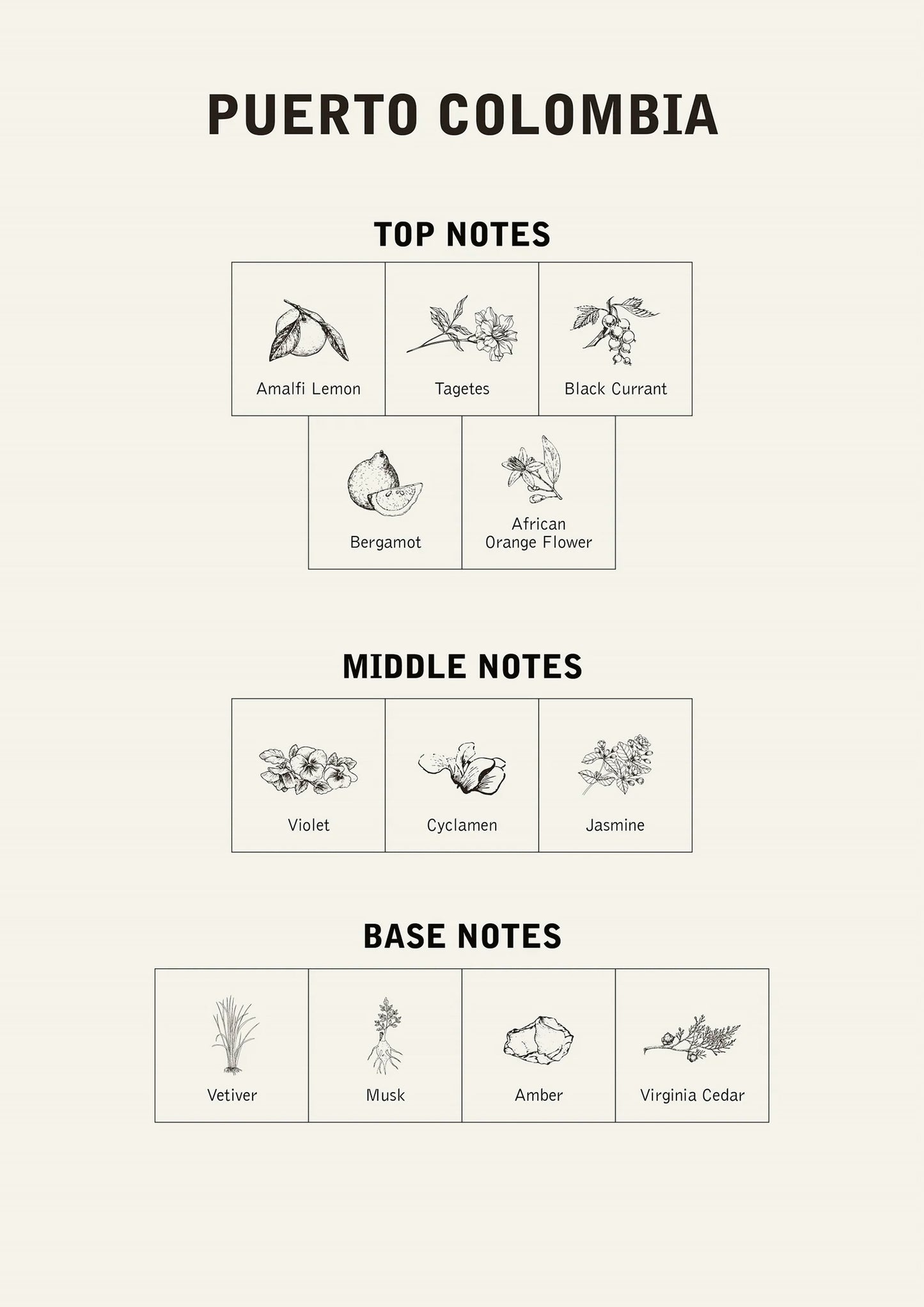 Puerto Colombia Parfume