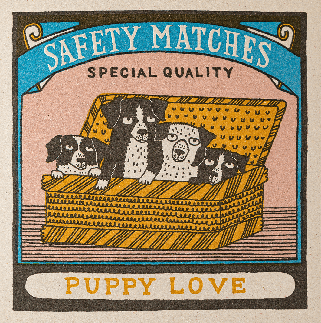 Puppy Love Matches - Rosa