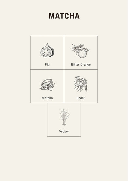 Matcha Parfume